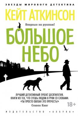 Скачать книгу Большое небо