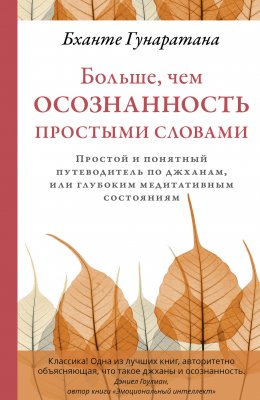 Скачать книгу Больше, чем осознанность простыми словами. Простой и понятный путеводитель по джханам, или глубоким медитативным состояниям