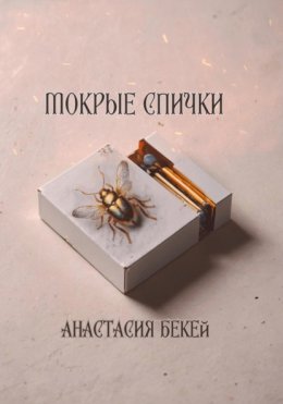 Скачать книгу Мокрые спички