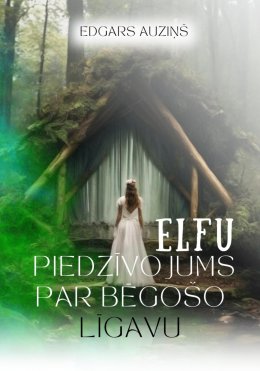 Скачать книгу Elfu piedzīvojums par bēgošo līgavu