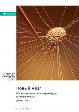 Скачать книгу Новый мозг. Почему правое полушарие будет править миром. Дэниел Пинк. Саммари