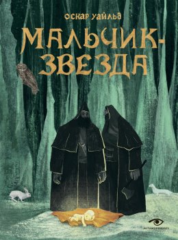 Скачать книгу Мальчик-Звезда