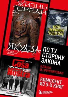 Скачать книгу По ту сторону закона. Кланы и группировки