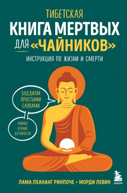 Скачать книгу Тибетская Книга мертвых для «чайников». Инструкция по жизни и смерти