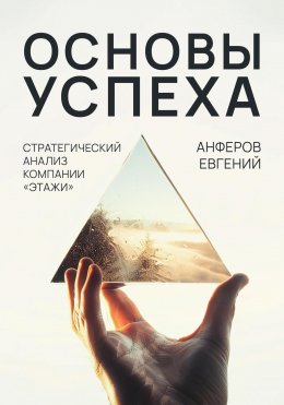 Скачать книгу Основы успеха. Стратегический анализ компании «Этажи»