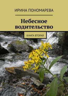 Скачать книгу Небесное водительство. Книга вторая