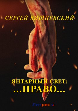 Скачать книгу Янтарный свет: …Право…