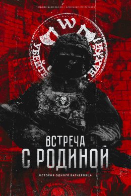 Скачать книгу Встреча с родиной