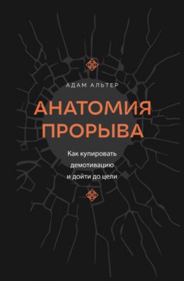 Скачать книгу Анатомия прорыва. Как купировать демотивацию и дойти до цели