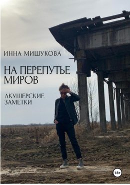 Скачать книгу На перепутье миров. Акушерские заметки.