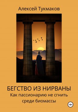 Скачать книгу Бегство из нирваны: Как пассионарию не сгнить среди биомассы