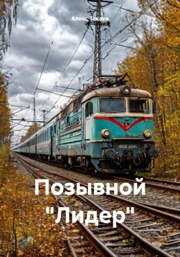 Скачать книгу Позывной «Лидер»