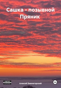 Скачать книгу Сашка – позывной Пряник