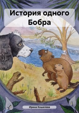 Скачать книгу История одного Бобра