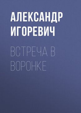 Скачать книгу Встреча в воронке