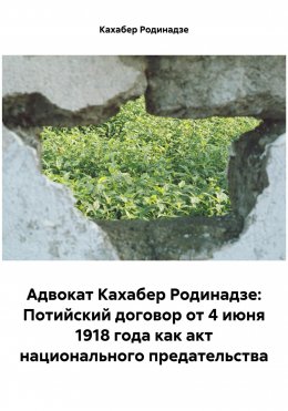 Скачать книгу Адвокат Кахабер Родинадзе: Потийский договор от 4 июня 1918 года как акт национального предательства