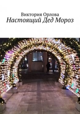 Скачать книгу Настоящий Дед Мороз