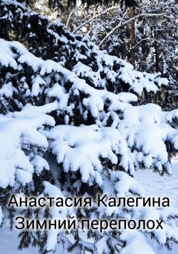 Скачать книгу Зимний переполох