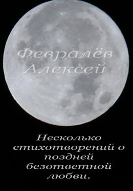 Скачать книгу Несколько стихотворений о поздней безответной любви