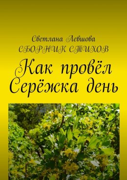 Скачать книгу Как провёл Серёжка день