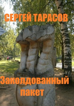 Скачать книгу Заколдованный пакет