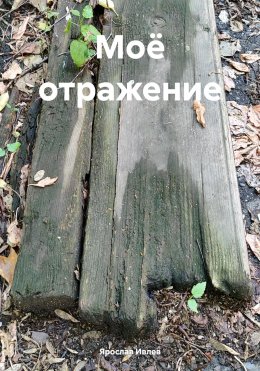 Скачать книгу Моё отражение