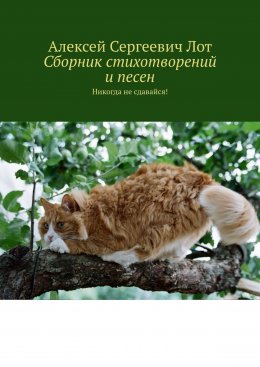 Скачать книгу Сборник стихотворений и песен. Никогда не сдавайся!