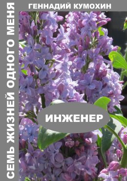 Скачать книгу Семь жизней одного меня. Инженер