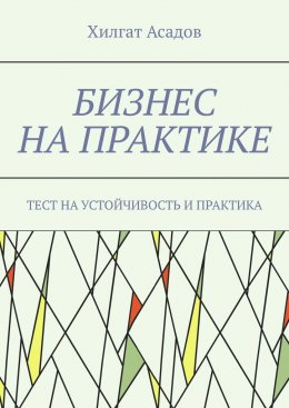 Скачать книгу Бизнес на практике. Тест на устойчивость и практика