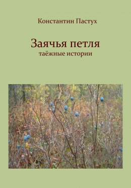 Скачать книгу Заячья петля