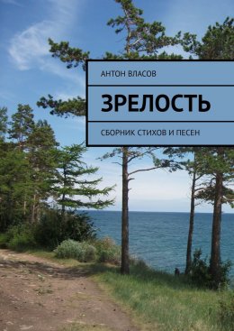 Скачать книгу Зрелость. Сборник стихов и песен