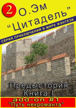 Скачать книгу Путь некроманта (Дополнение #1 к «Цитадель. Предыстория. Книга 1»)