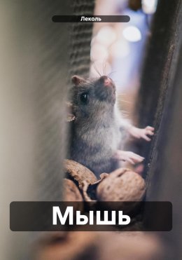 Скачать книгу Мышь