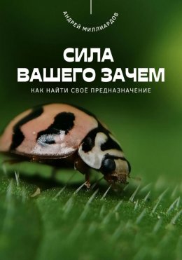 Скачать книгу Сила вашего Зачем. Как найти своё предназначение