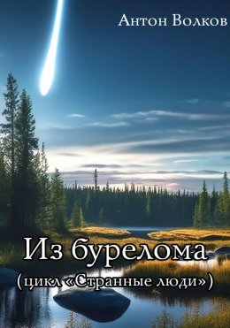 Скачать книгу Из бурелома