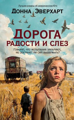 Скачать книгу Дорога радости и слез