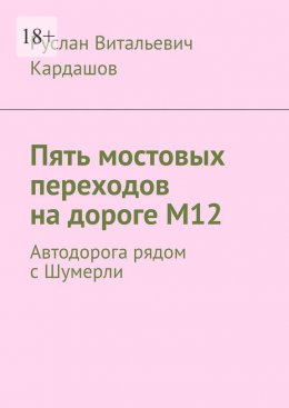 Скачать книгу Пять мостовых переходов на дороге М12. Автодорога рядом с Шумерли