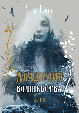 Скачать книгу Академия волшебства. Элин