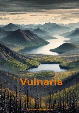 Скачать книгу Vulnaris