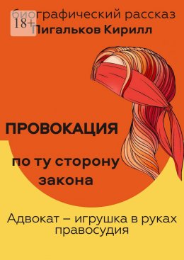 Скачать книгу Провокация. По ту сторону закона