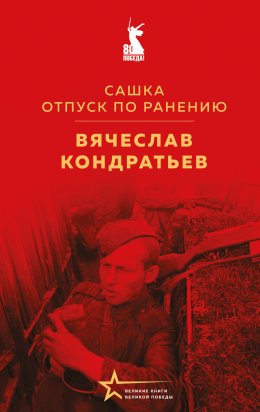 Скачать книгу Сашка. Отпуск по ранению