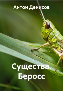 Скачать книгу Существа. Беросс