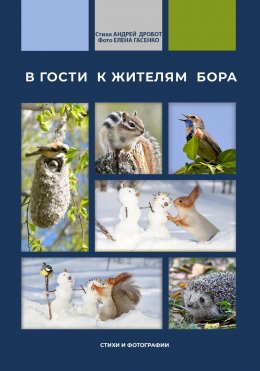 Скачать книгу В гости к жителям бора