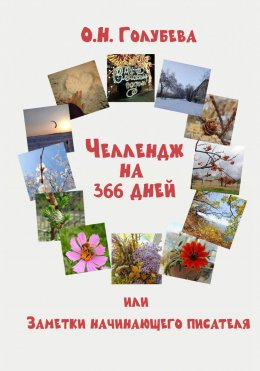 Скачать книгу ЧЕЛЛЕНДЖ на 366 ДНЕЙ или Заметки начинающего писателя