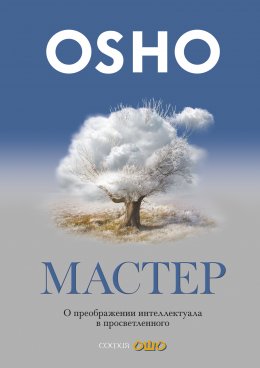 Скачать книгу Мастер. О преображении интеллектуала в просветленного