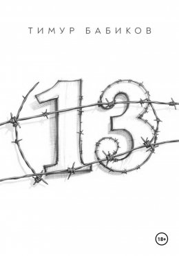 Скачать книгу 13