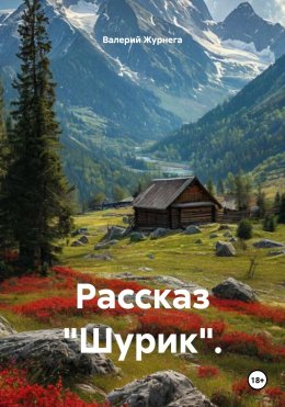 Скачать книгу Рассказ «Шурик».