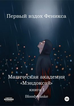 Скачать книгу Магическая академия Мэндоксай