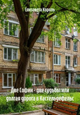 Скачать книгу Две Софии – две судьбы или долгая дорога в Кастельдефельс