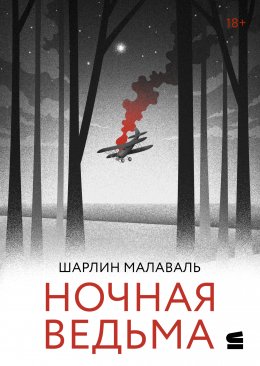 Скачать книгу Ночная ведьма